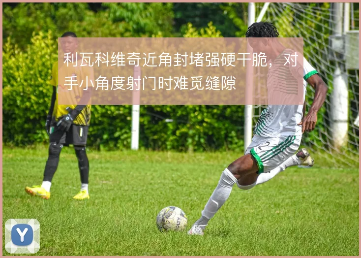 利瓦科维奇近角封堵强硬干脆，对手小角度射门时难觅缝隙