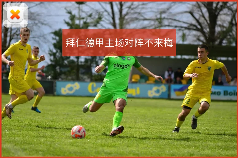 拜仁德甲主场对阵不来梅
